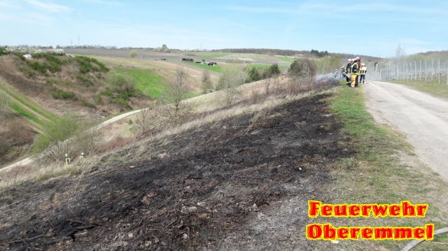 Flaechenbrand_Wiltingen_31_03_17 (6)